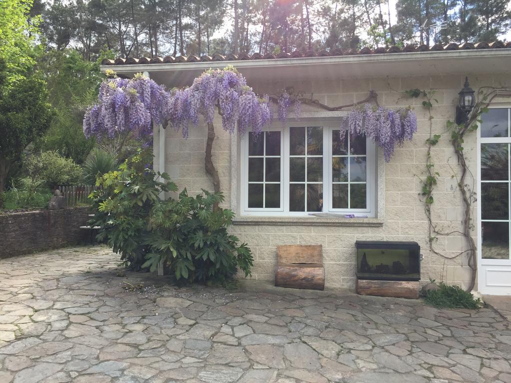 Agro Da Gandarela Bed & Breakfast Teo Eksteriør bilde